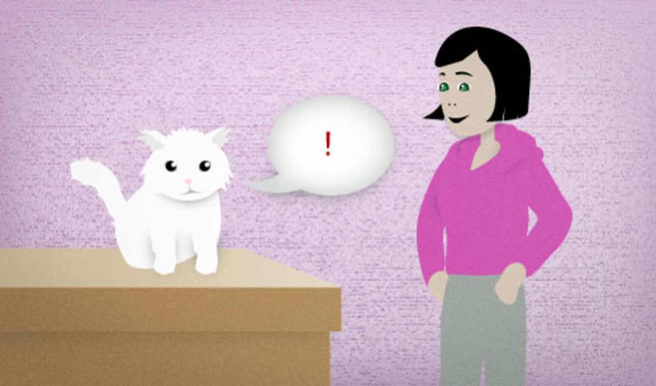 English Lesson: What are you meowing about?