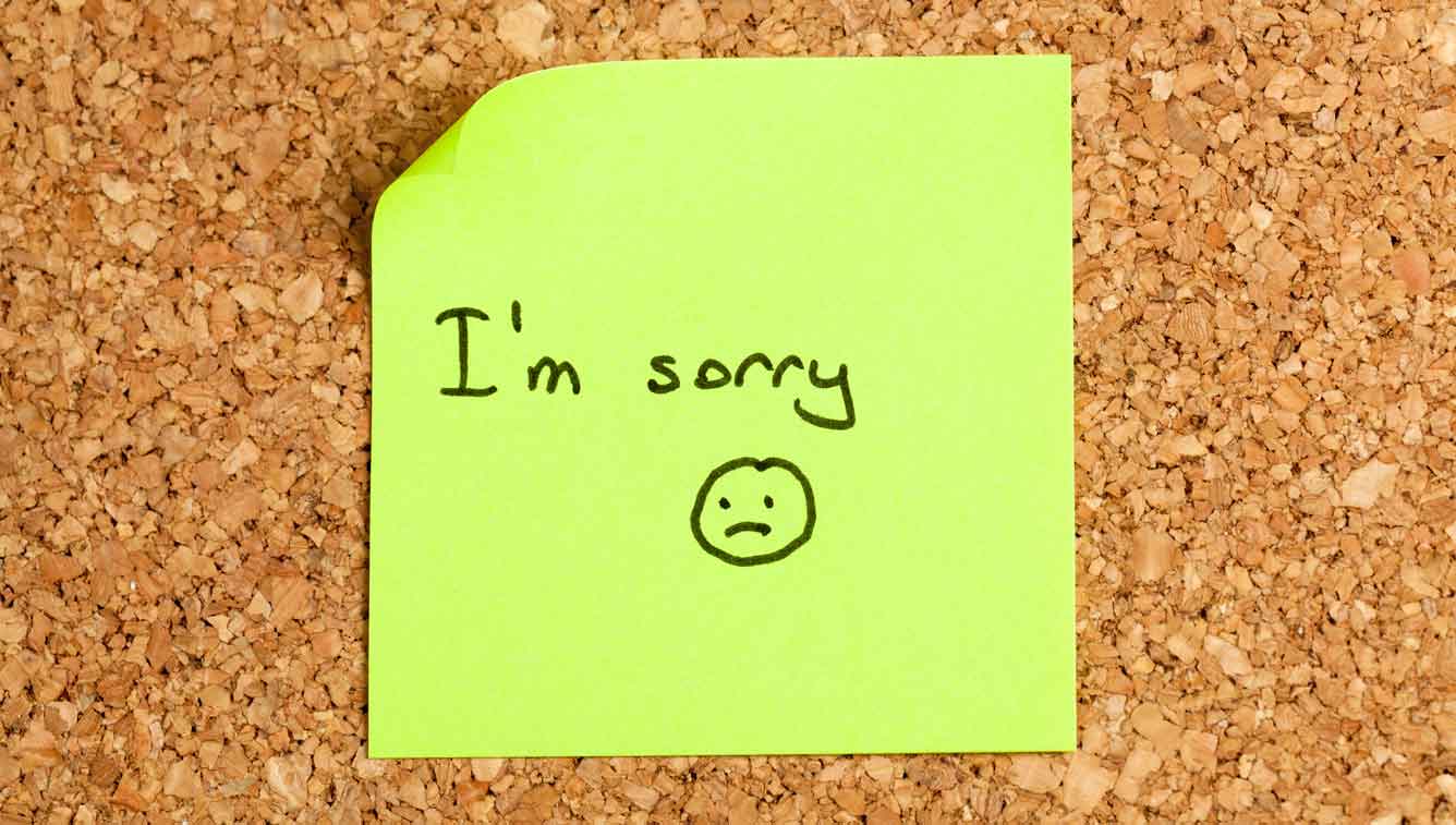 25 Ways To Say sorry In English PhraseMix