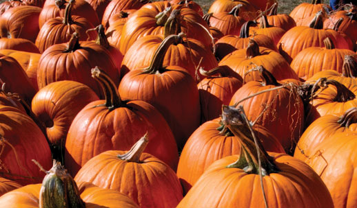 Pumpkins
